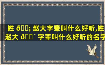 姓 🐡 赵大字辈叫什么好听,姓赵大 🐴 字辈叫什么好听的名字